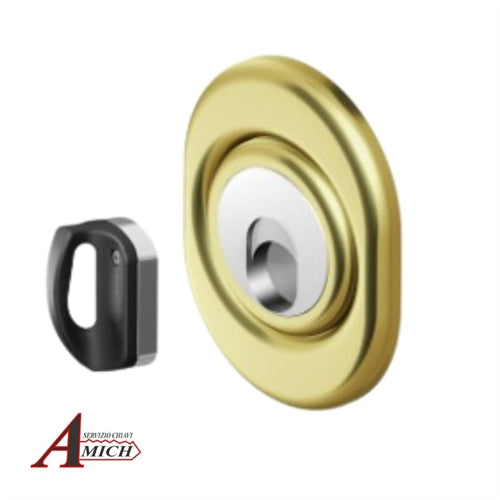 Defender disec mr500 h.25 inox ottone lucido profilo personalizzato amich con base mostrina monolito a1560i2 h.11mm